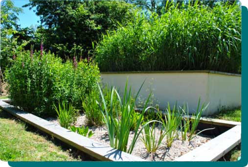 Une sensibilisation écologique phytoépuration, votre jardin écologique - Aqualogik Pré-Bocage et Bretagne